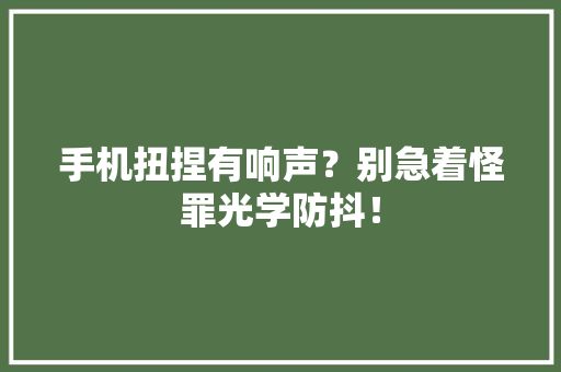 手机扭捏有响声？别急着怪罪光学防抖！ 手机扭捏有响声？别急着怪罪光学防抖！ 智能家居