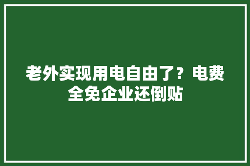 老外实现用电自由了？电费全免企业还倒贴