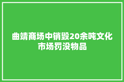 曲靖商场中销毁20余吨文化市场罚没物品