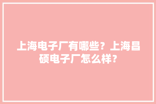 上海电子厂有哪些？上海昌硕电子厂怎么样？