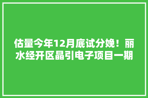 估量今年12月底试分娩！丽水经开区晶引电子项目一期完成主体结构验收