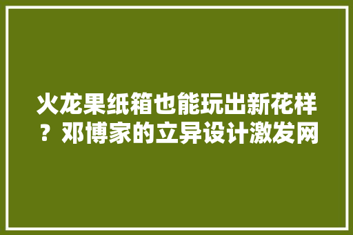 火龙果纸箱也能玩出新花样？邓博家的立异设计激发网友热议