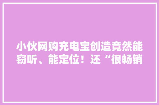 小伙网购充电宝创造竟然能窃听、能定位！还“很畅销”？
