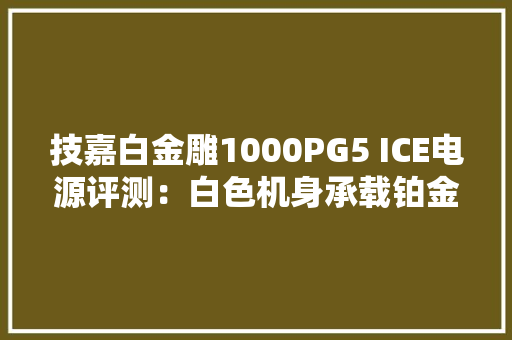 技嘉白金雕1000PG5 ICE电源评测：白色机身承载铂金效能
