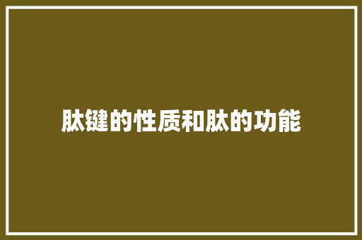 肽键的性质和肽的功能