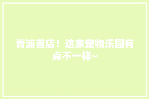 青浦首店！这家宠物乐园有点不一样~