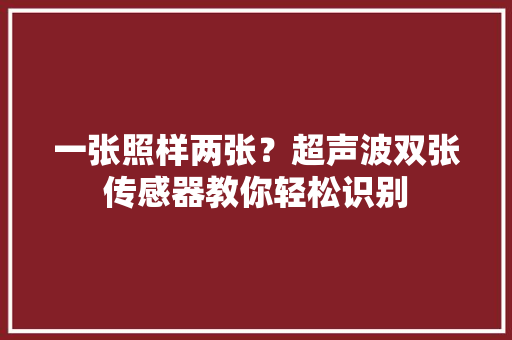 一张照样两张？超声波双张传感器教你轻松识别