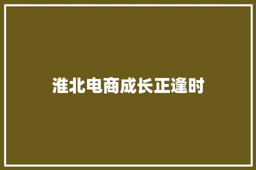 淮北电商成长正逢时