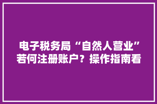 电子税务局“自然人营业”若何注册账户？操作指南看这里,税务局24小时人工服务电话。