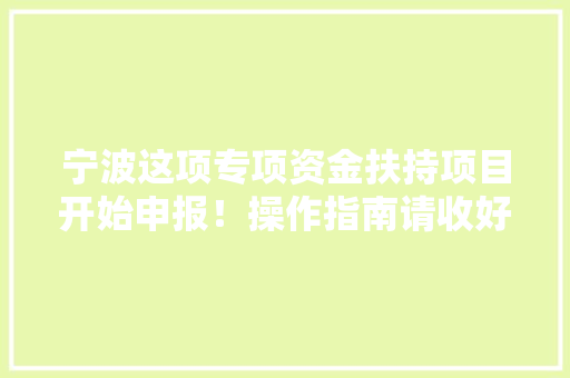 宁波这项专项资金扶持项目开始申报！操作指南请收好