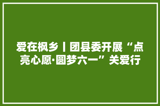 爱在枫乡丨团县委开展“点亮心愿·圆梦六一”关爱行动
