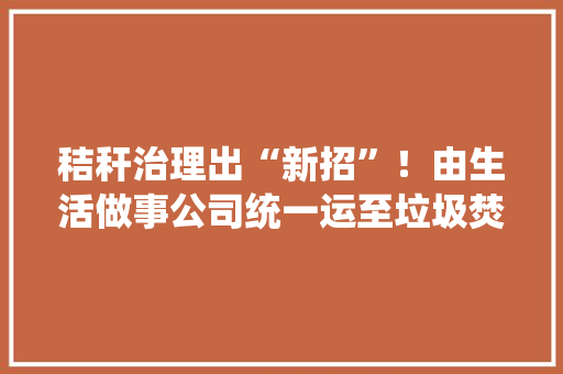 秸秆治理出“新招”！由生活做事公司统一运至垃圾焚烧发电厂,秸秆的拼音。