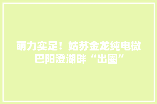 萌力实足！姑苏金龙纯电微巴阳澄湖畔“出圈”