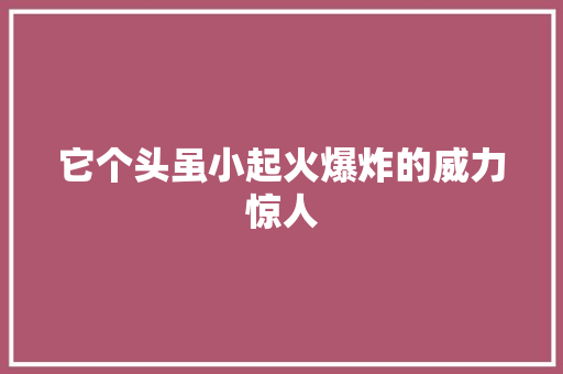 它个头虽小起火爆炸的威力惊人