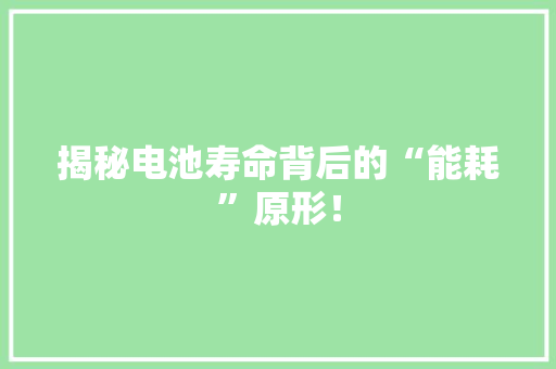 揭秘电池寿命背后的“能耗”原形！,电池品牌排行榜。