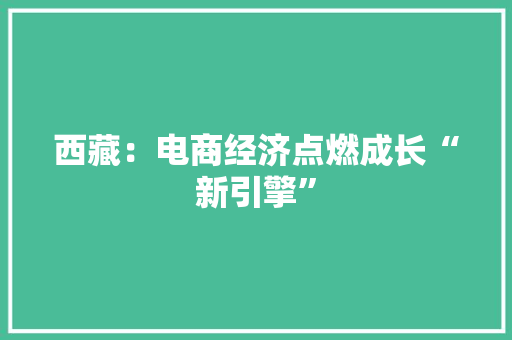 西藏：电商经济点燃成长“新引擎”