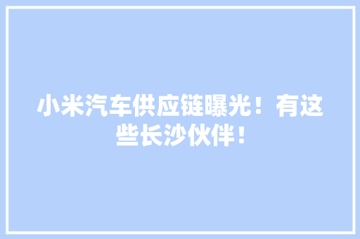 小米汽车供应链曝光！有这些长沙伙伴！