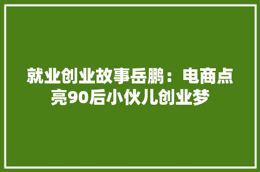 就业创业故事岳鹏：电商点亮90后小伙儿创业梦