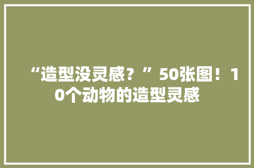 “造型没灵感？”50张图！10个动物的造型灵感