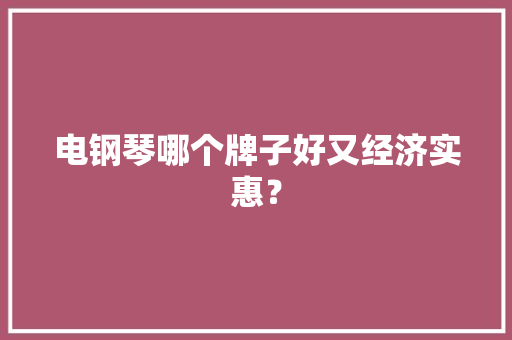 电钢琴哪个牌子好又经济实惠？