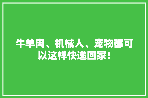 牛羊肉、机械人、宠物都可以这样快递回家！