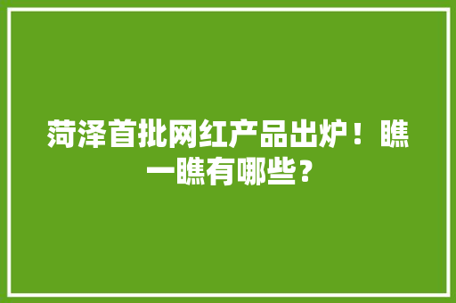 菏泽首批网红产品出炉！瞧一瞧有哪些？