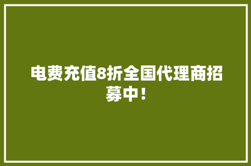 电费充值8折全国代理商招募中！