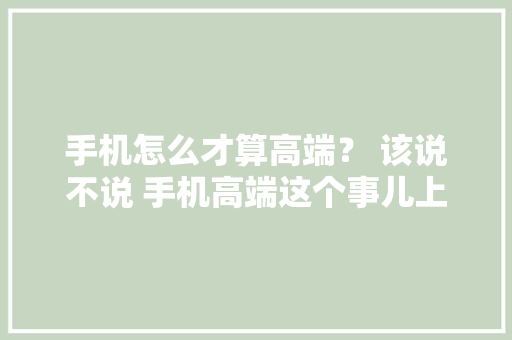 手机怎么才算高端？ 该说不说 手机高端这个事儿上