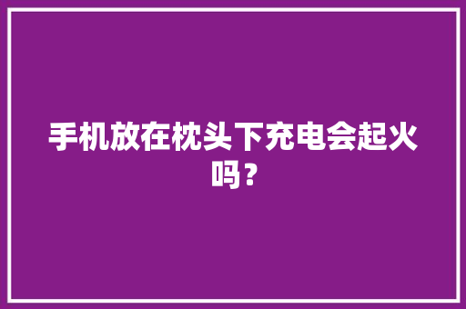 手机放在枕头下充电会起火吗？