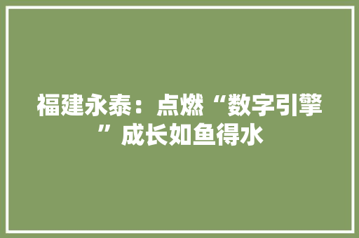 福建永泰：点燃“数字引擎”成长如鱼得水