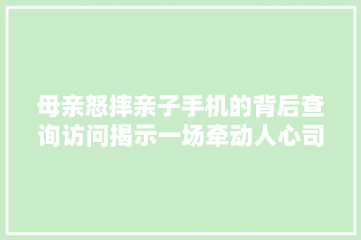母亲怒摔亲子手机的背后查询访问揭示一场牵动人心司法风暴悄然光降