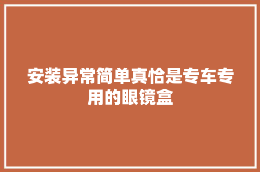 安装异常简单真恰是专车专用的眼镜盒