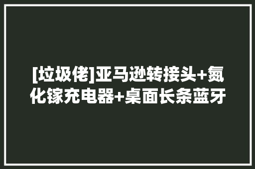 [垃圾佬]亚马逊转接头+氮化镓充电器+桌面长条蓝牙音箱...