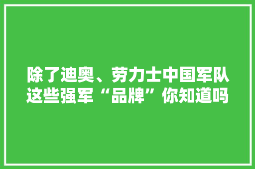 除了迪奥、劳力士中国军队这些强军“品牌”你知道吗？