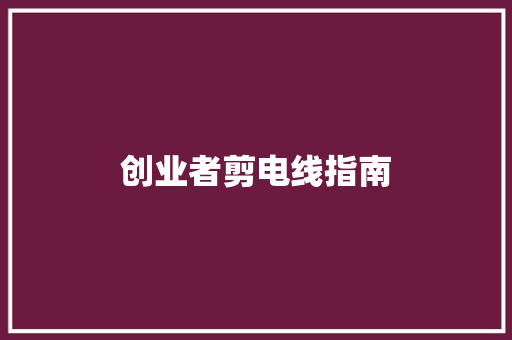 创业者剪电线指南