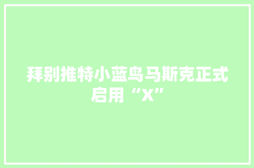 拜别推特小蓝鸟马斯克正式启用“X”