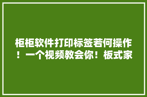 柜柜软件打印标签若何操作！一个视频教会你！板式家具...