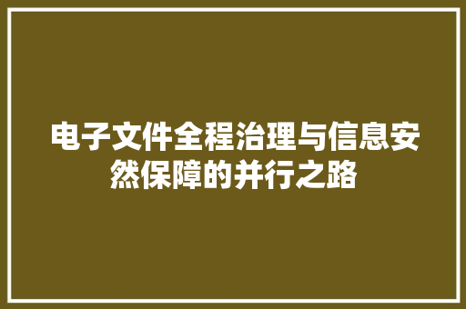 电子文件全程治理与信息安然保障的并行之路