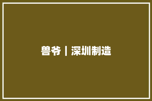 兽爷｜深圳制造