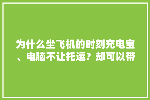 为什么坐飞机的时刻充电宝、电脑不让托运？却可以带上飞机？ 为什么坐飞机的时刻充电宝、电脑不让托运？却可以带上飞机？ 智能家居
