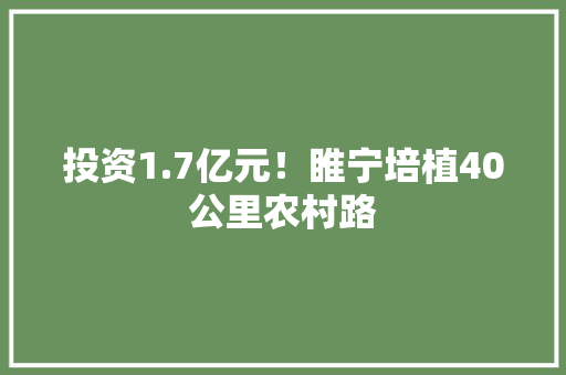 投资1.7亿元！睢宁培植40公里农村路,山镇是什么意思。