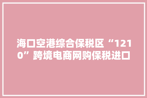 海口空港综合保税区“1210”跨境电商网购保税进口营业首单完成