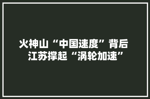 火神山“中国速度”背后 江苏撑起“涡轮加速”