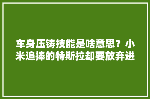 车身压铸技能是啥意思？小米追捧的特斯拉却要放弃进化了！ 车身压铸技能是啥意思？小米追捧的特斯拉却要放弃进化了！ 智能科技