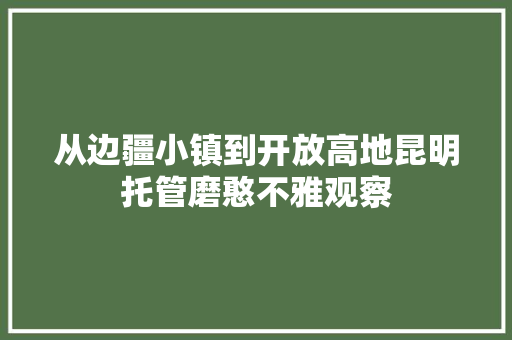 从边疆小镇到开放高地昆明托管磨憨不雅观察