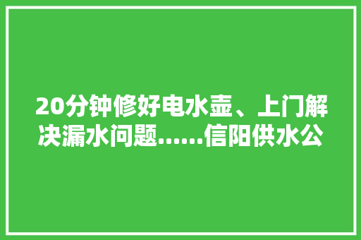 20分钟修好电水壶、上门解决漏水问题......信阳供水公司开展“学雷锋”自愿做事