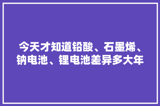 今天才知道铅酸、石墨烯、钠电池、锂电池差异多大年夜价格是若干