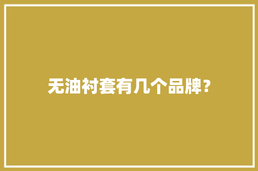 无油衬套有几个品牌？
