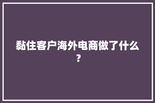 黏住客户海外电商做了什么？