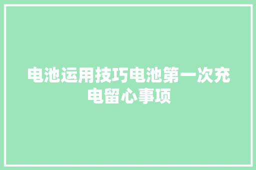 电池运用技巧电池第一次充电留心事项 电池运用技巧电池第一次充电留心事项 智能科技